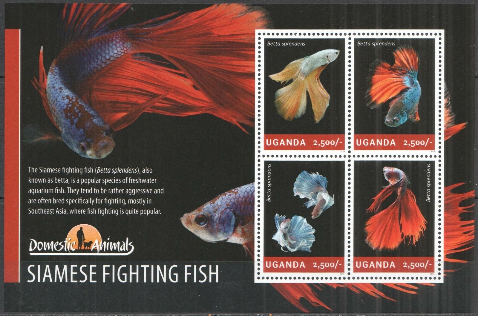 Ug012 2014 Uganda Siamese Fighting Fish Fauna Domestic Animals #3275-3278 Mnh