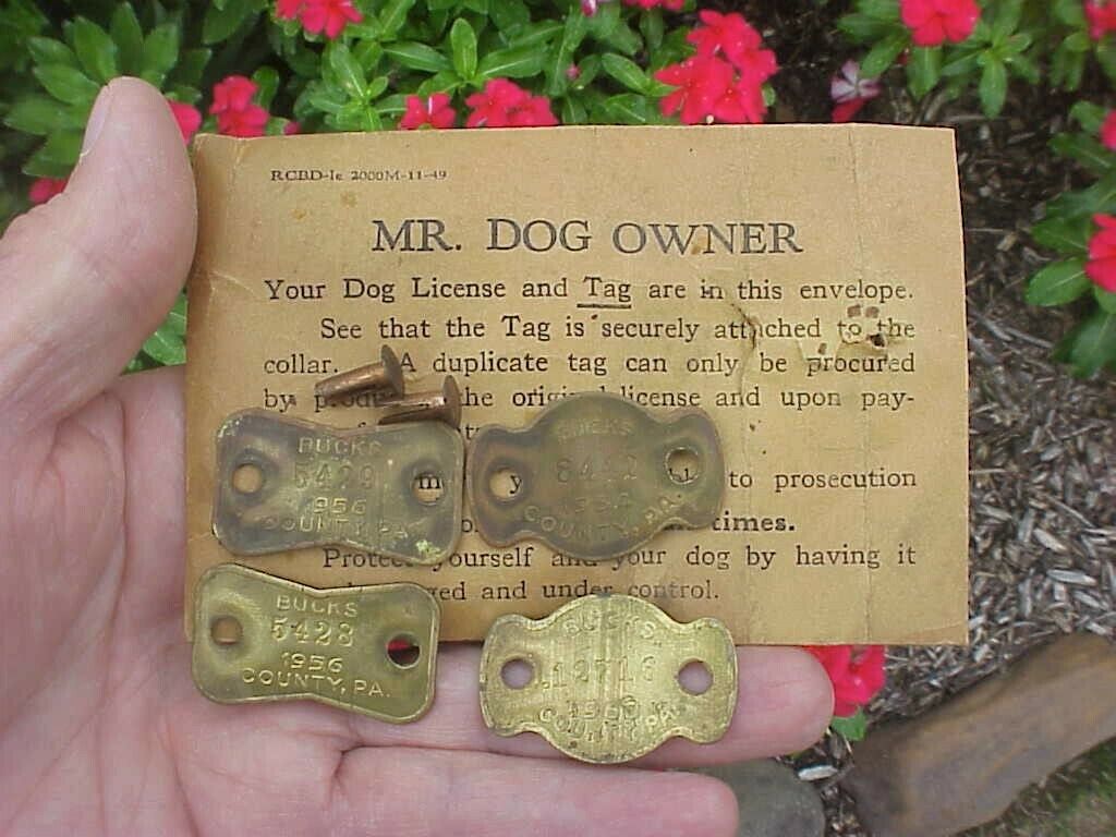 Four Bucks County Dog Tags 1954, (2) 1956,1960 Bucks County, Penna. Dog License