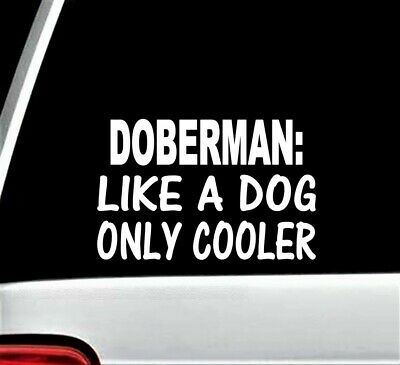 Doberman Like A Dog Only Cooler Decal Sticker Car Truck Suv Van Laptop F1014