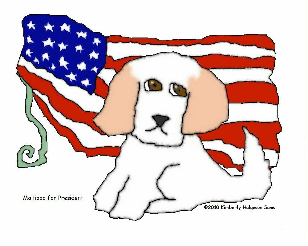 Maltipoo For President Collectible Aceo Print Dog Pop Art Card 2.5 X 3.5