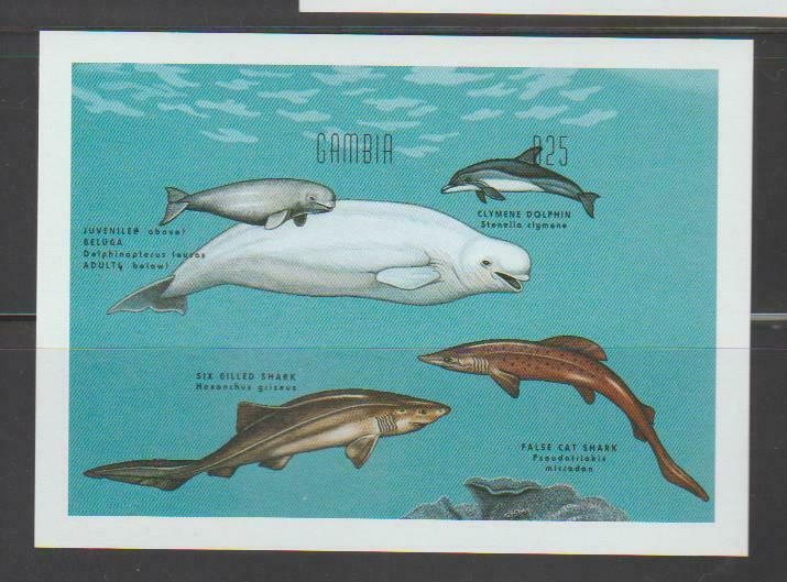 Mar96 - Marine Life Fish Gambia 1995 Whales Dolphins Imperf Ss Mnh